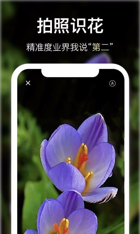 花将app下载,花将安卓版