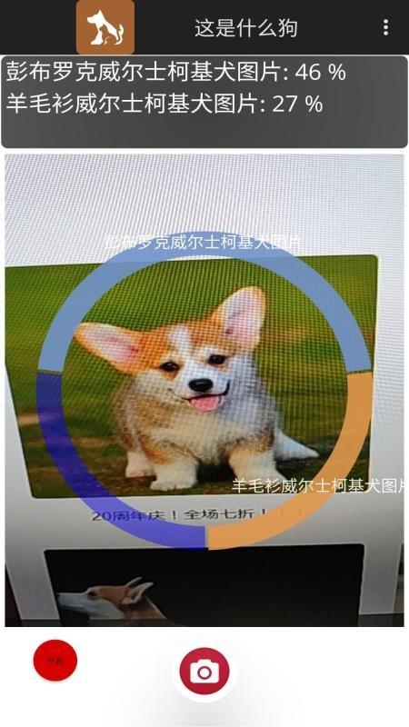 这是什么狗app下载,这是什么狗手机版
