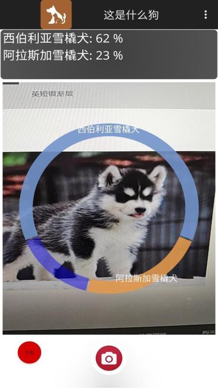 这是什么狗app下载,这是什么狗手机版