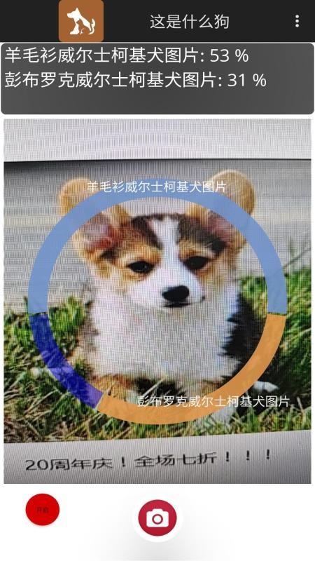 这是什么狗app下载,这是什么狗手机版