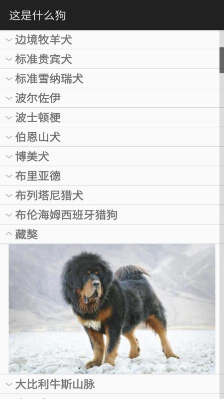 这是什么狗app下载,这是什么狗手机版